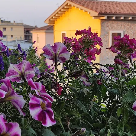 Lovely Casa Paola Villlafranca Centro 维罗纳自由镇